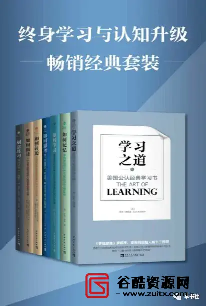 《学习和认知升级经典书》（如何学习+如何阅读+如何讨论+学习之道+精力管理+刻意练习）全6册PDF图书插图